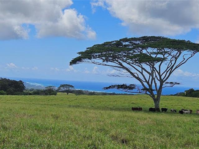 House for sale in Haleiwa, Honolulu County