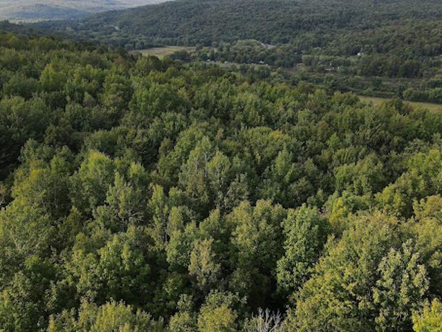 House for sale in Memphrémagog, Quebec