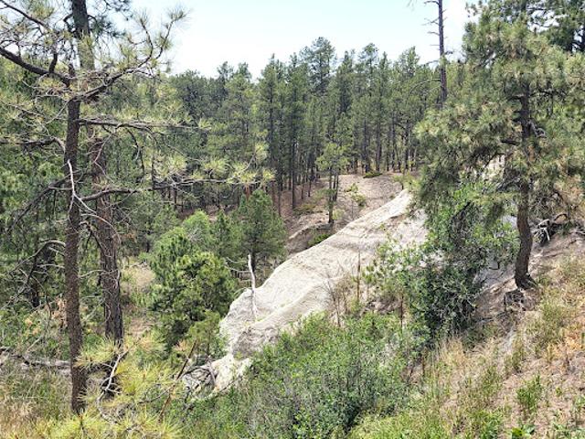 House for sale in Colorado Springs, Colorado