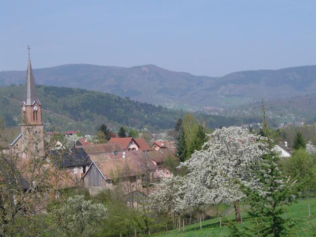 Maison location à Sélestat-Erstein, Neuve-eglise