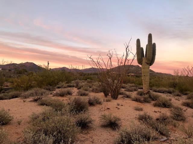 House for sale in Scottsdale, Arizona