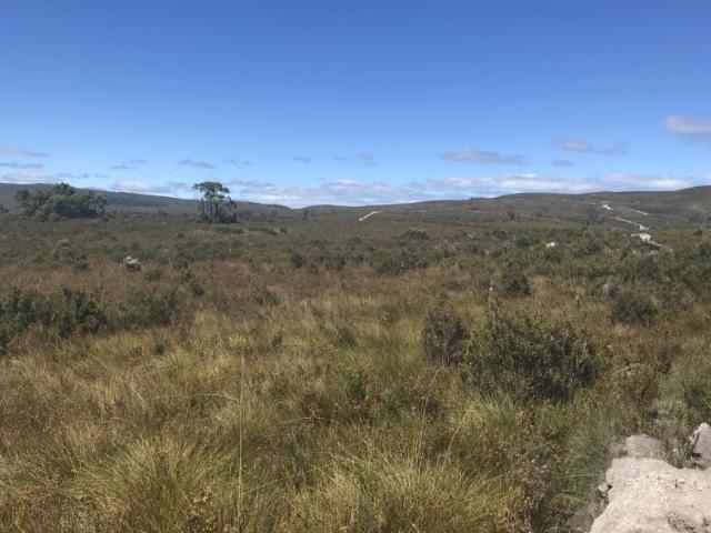 House for sale in Zeehan, Tasmania
