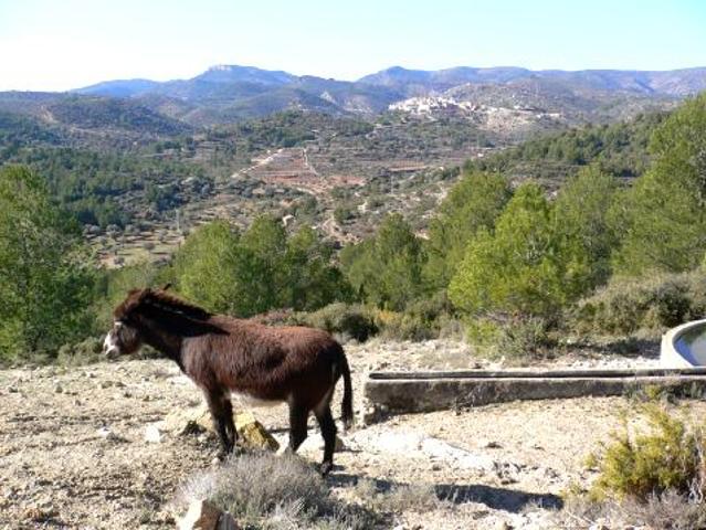 Casa en alquiler en Useres, Les, Valencia