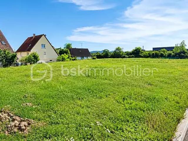 Terrain vente à Houssen, Collectivité européenne d'Alsace