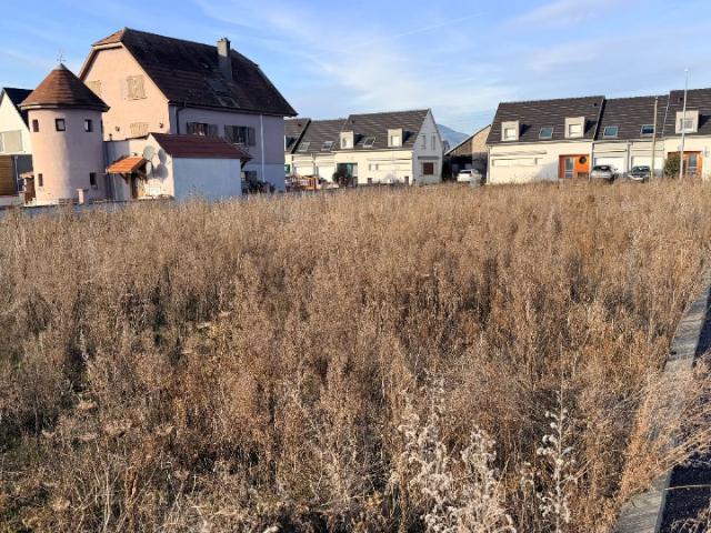 Terrain vente à Colmar-Ribeauvillé, Houssen