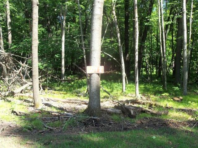 Land for sale in Siren, Wisconsin