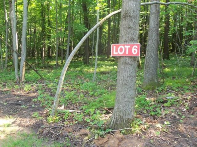 Land for sale in Siren, Wisconsin