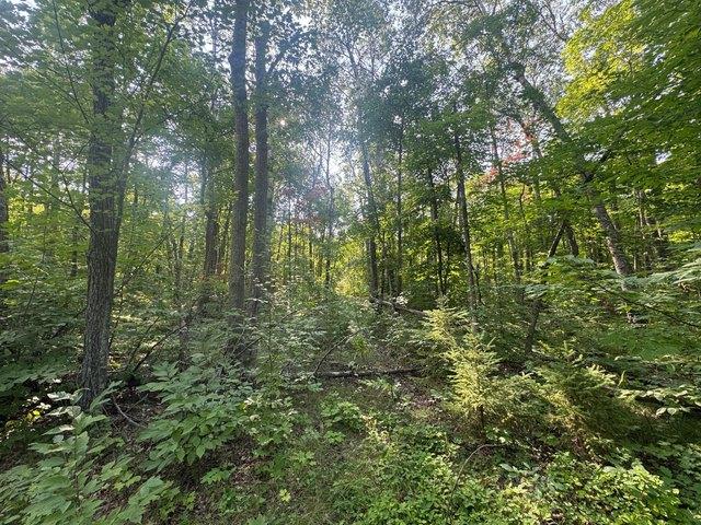 Land for sale in Hubbard, Minnesota