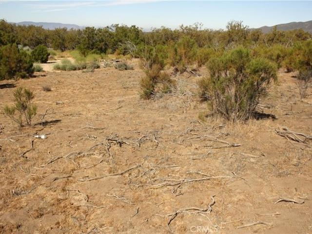 Land for sale in Anza, California
