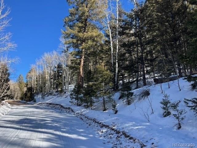 Land for sale in Fort Garland, Colorado
