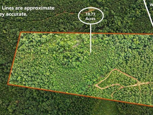 Land for sale in Roberta, Georgia