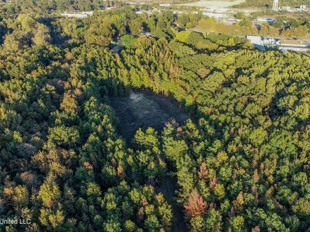 Land for sale in Marks, Mississippi