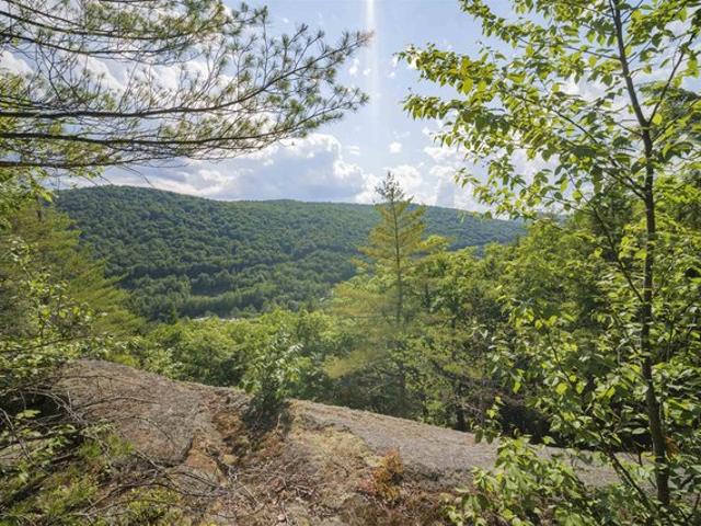 Land for sale in Jamaica, Vermont