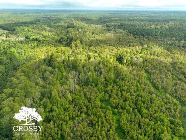 Land for sale in Bamberg, South Carolina