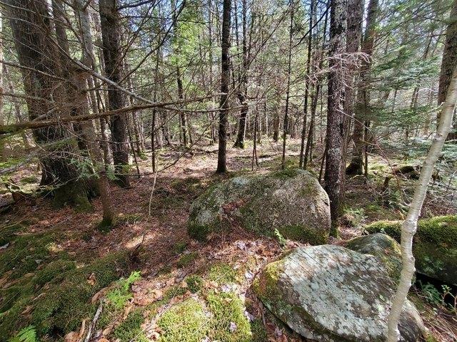 Land for sale in Lagrange, Maine