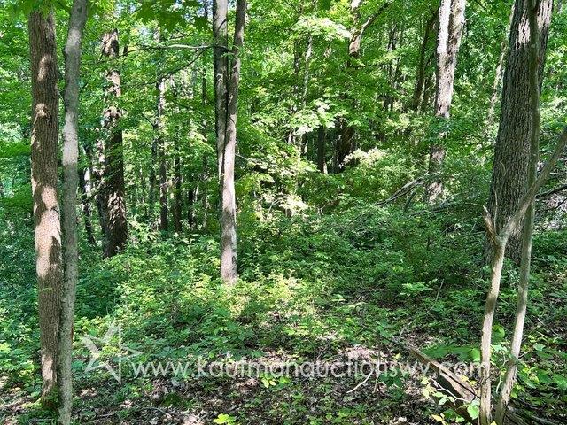 House for sale in West Virginia