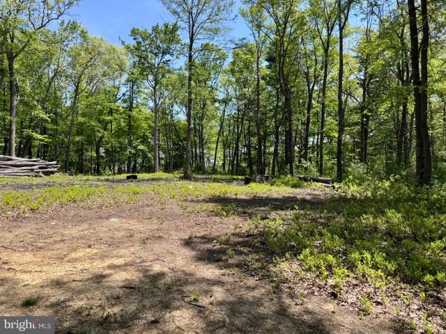 Land for sale in Franklin, West Virginia