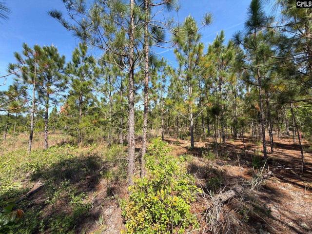 Land for sale in Aiken, South Carolina