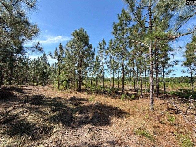 Land for sale in Aiken, South Carolina