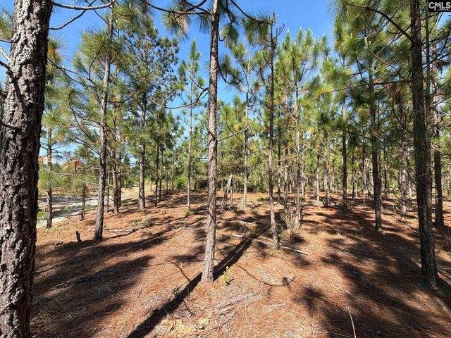 Land for sale in Aiken, South Carolina