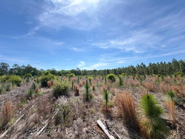 Land for sale in Aiken, South Carolina