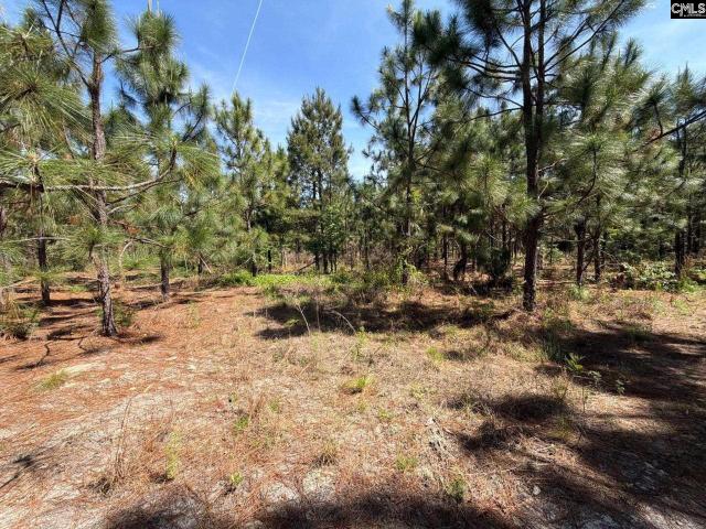 Land for sale in Aiken, South Carolina