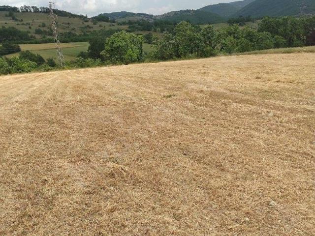 Kavak, Samsun içerisinde satılık Arsa