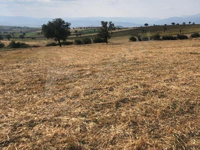 Vezirköprü, Samsun içerisinde satılık Arsa