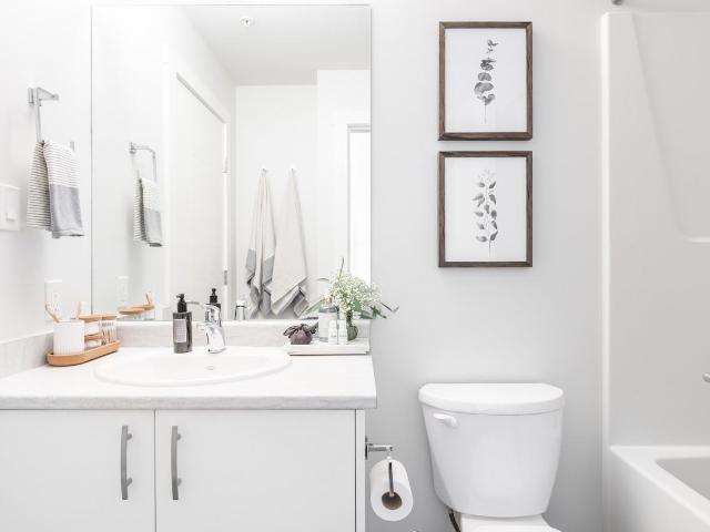 Apartment for rent in Nanaimo, British Columbia