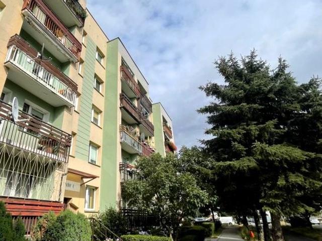 Mieszkanie do wynajęcia w Legnica, Dolnośląskie