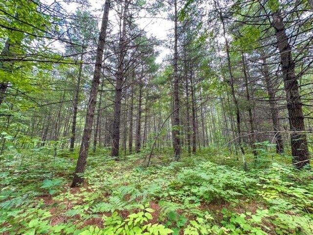 Land for sale in Hubbard Lake, Michigan