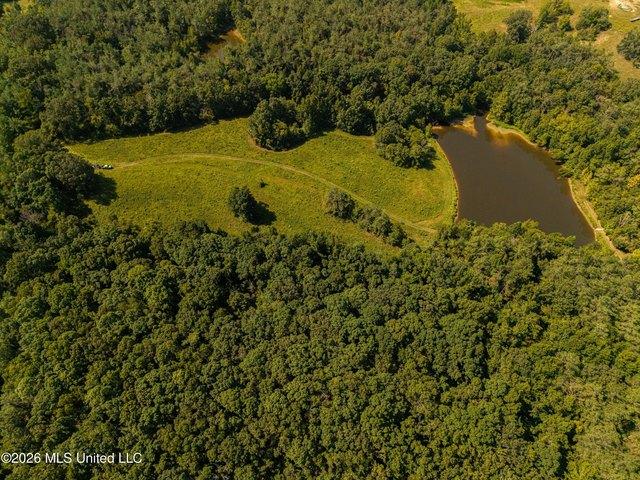 Land for sale in Courtland, Mississippi