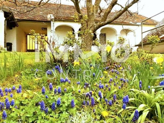 Haus kaufen in Rechnitz