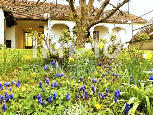 Haus kaufen in Rechnitz