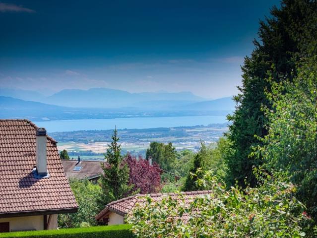 Einfamilienhaus kaufen in Arzier-Le Muids, District de Nyon
