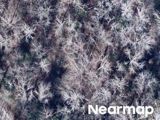 Land for sale in Sumter, South Carolina