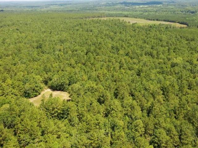 Land for sale in Batesburg Land for sale in Batesburg