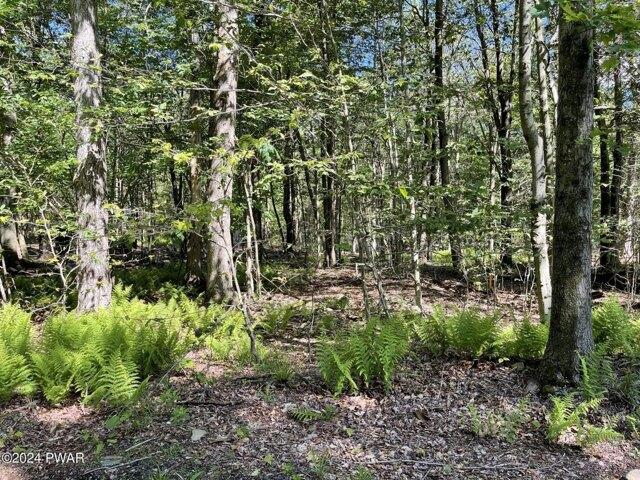 Land for sale in Newfoundland