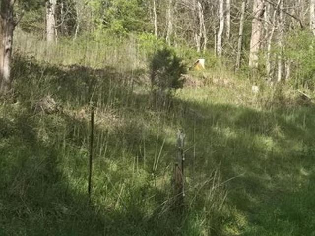 Land for sale in Virginia