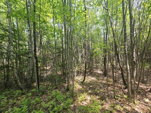 Land for sale in Hudson, Maine