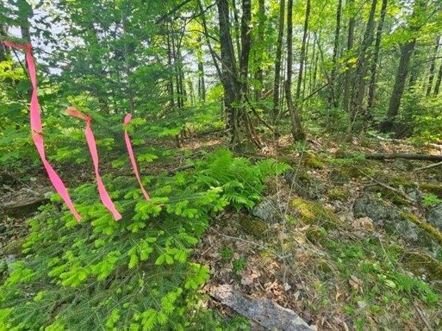 Land for sale in Hudson, Maine