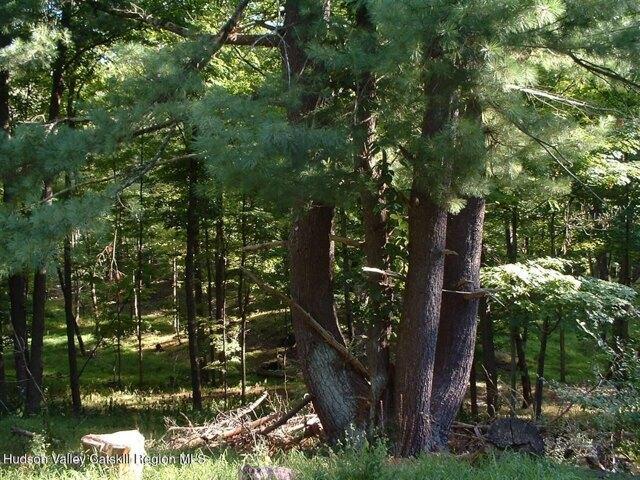 Land for sale in Claverack, New York