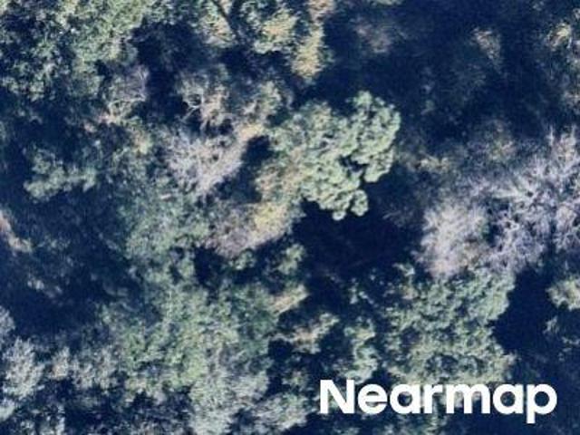 Land for sale in Palatka, Florida