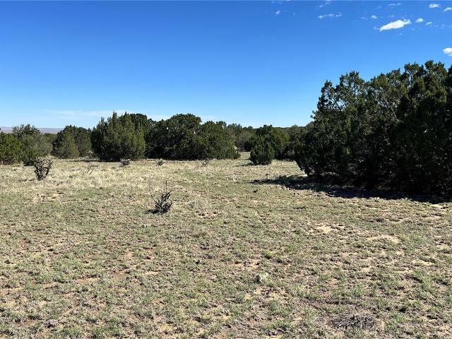 Land for sale in Walsenburg, Huerfano County