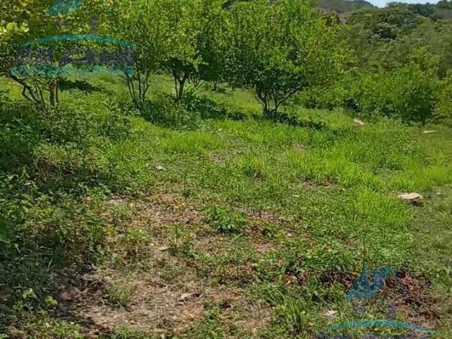 Terreno en venta en Juan R. Escudero, Guerrero