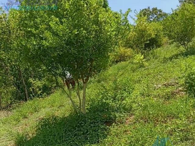 Terreno en venta en Juan R. Escudero, Guerrero