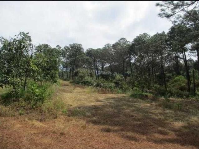 Terreno en venta en Peribán, Michoacán