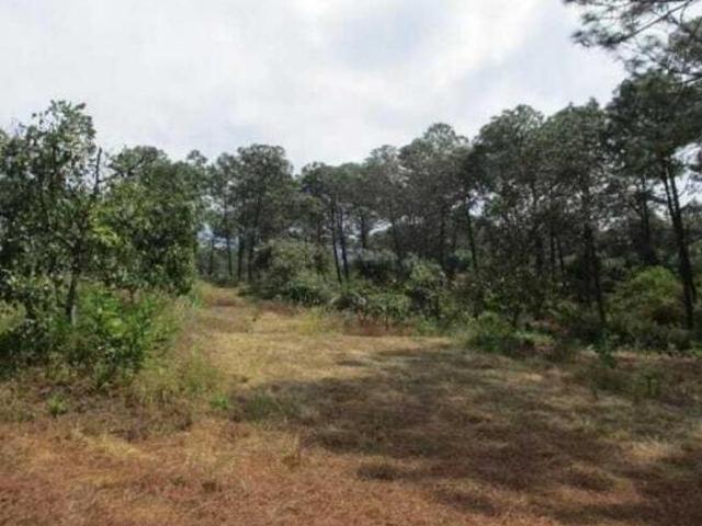 Terreno en venta en Peribán, Michoacán