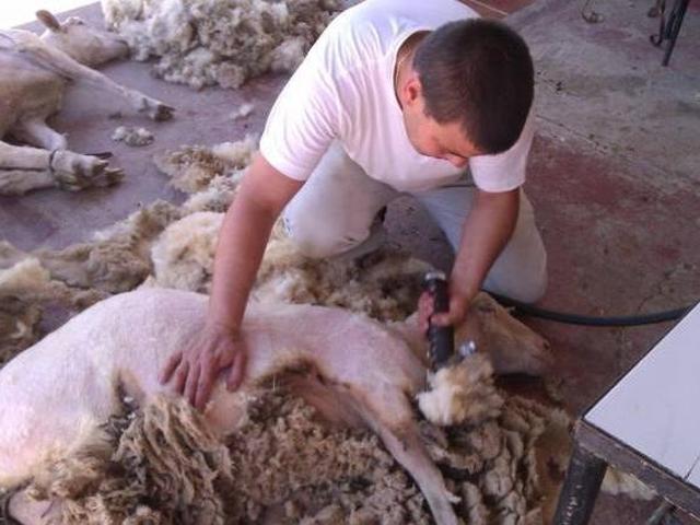 Casa en alquiler en Sevilla, Andalucía