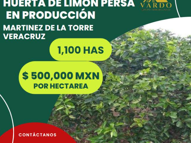 Terreno en venta en Martínez De La Torre, Veracruz